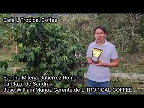 youtube - [Video]